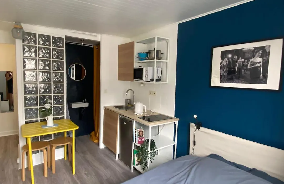 Bright Central Flat Paris-1